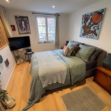 Le Reve - Centre - Proche Parking Gratuit - Commerces A Proximite - Marche De Noel * Sélestat