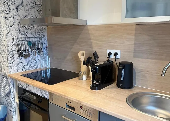 Le Reve - Centre - Proche Parking Gratuit - Commerces A Proximite - Marche De Noel Appartement Sélestat