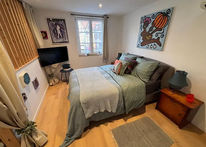 Le Reve - Centre - Proche Parking Gratuit - Commerces A Proximite - Marche De Noel * Sélestat